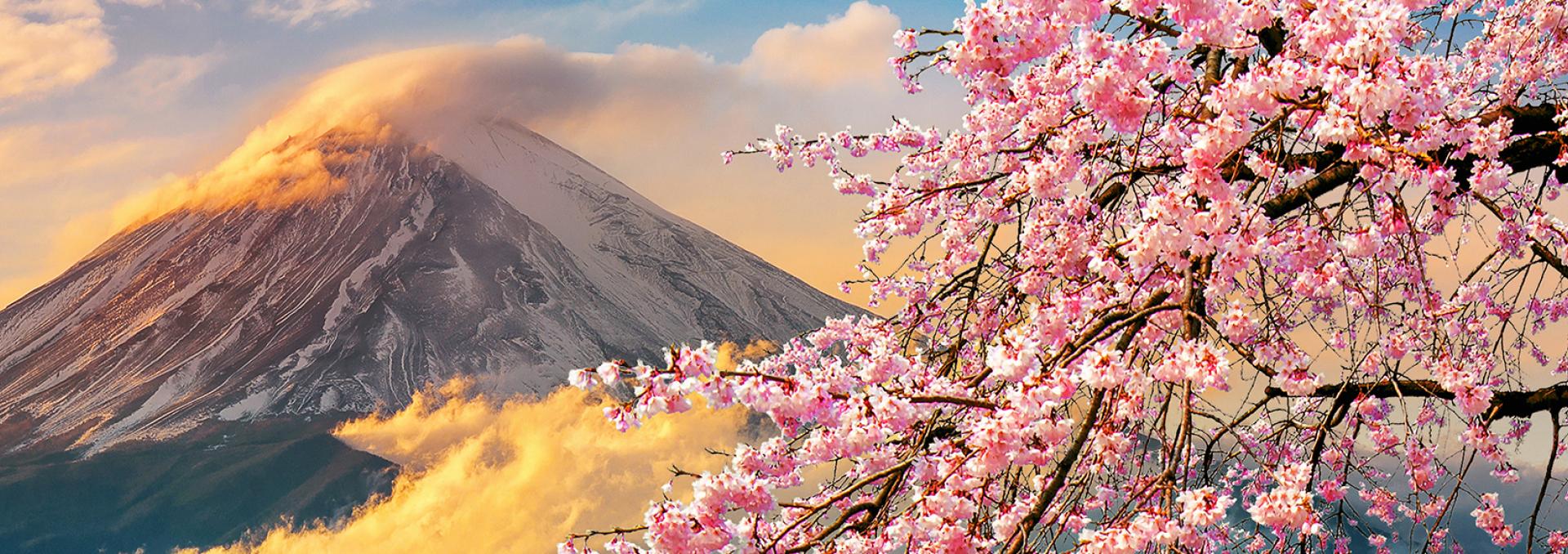 Ist der Frühling zurückgekehrt?